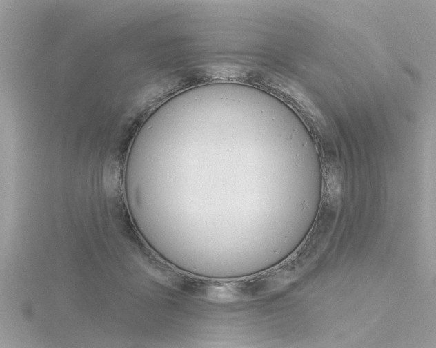 X0000116320411200912010948