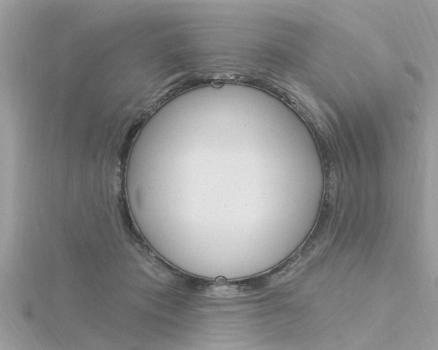 X0000116320413200912010948