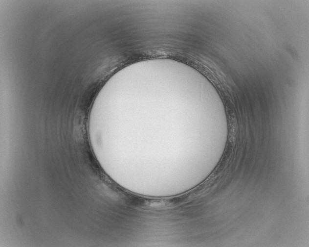 X0000116320414200912010948