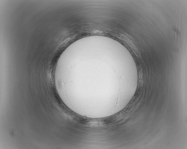 X0000116320415200912010948