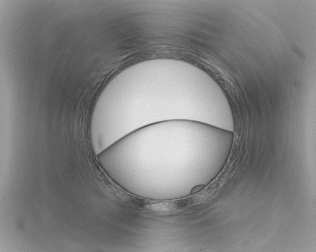 X0000116320417200912010948
