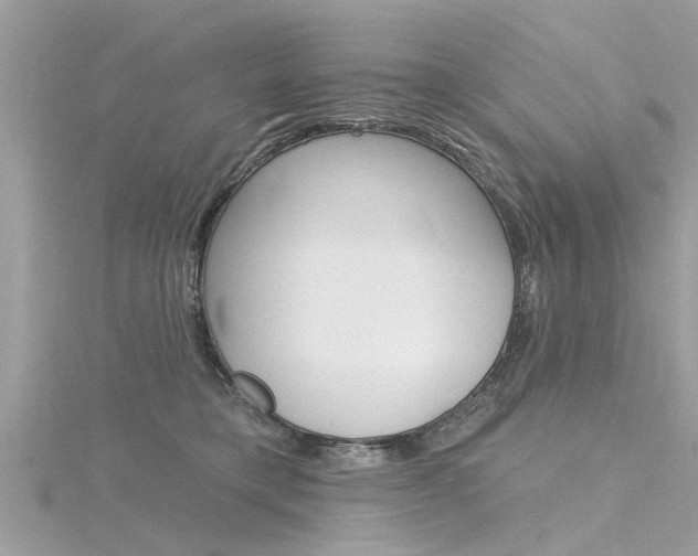X0000116320421200912010948