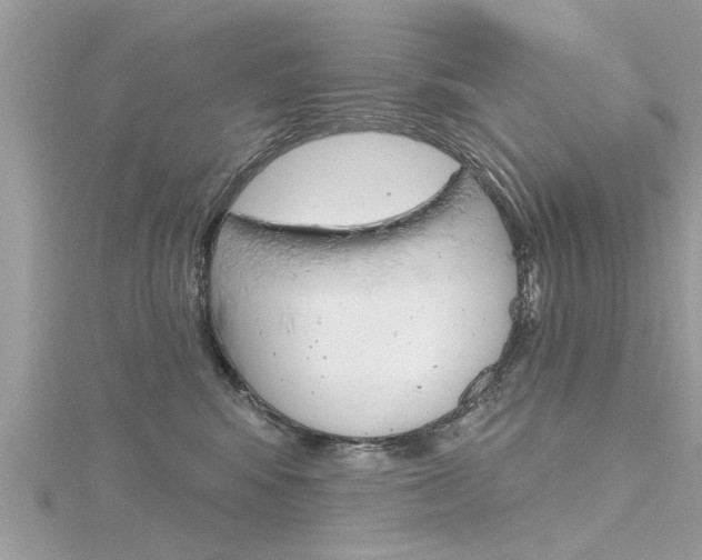 X0000116320424200912010948