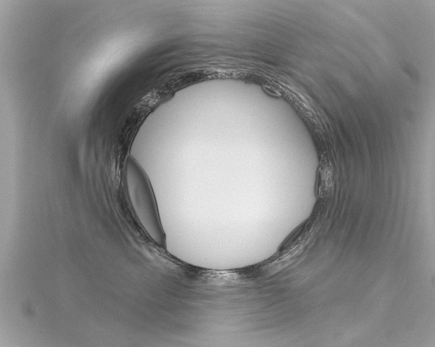 X0000116320429200912010948