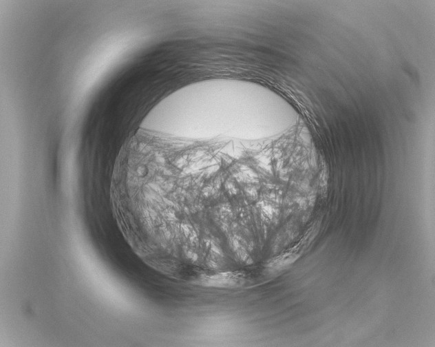X0000116320430200912010948