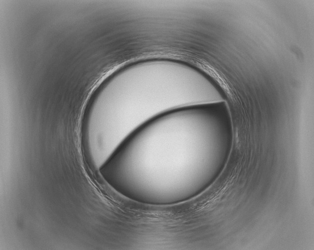 X0000116320436200912010947