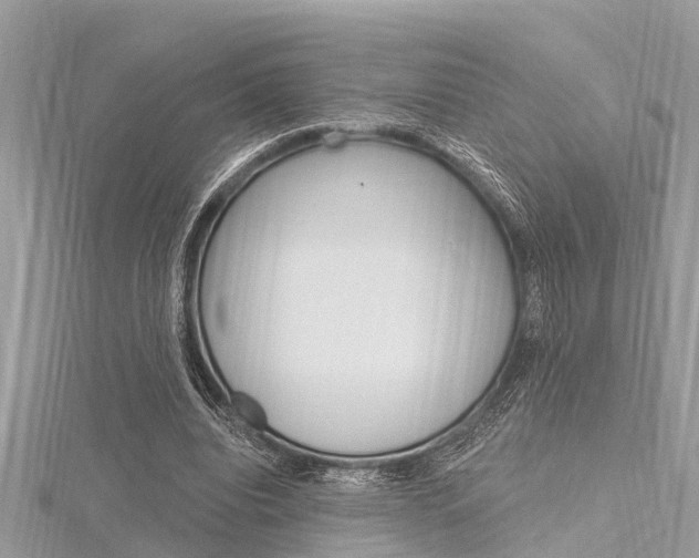 X0000116320440200912010947