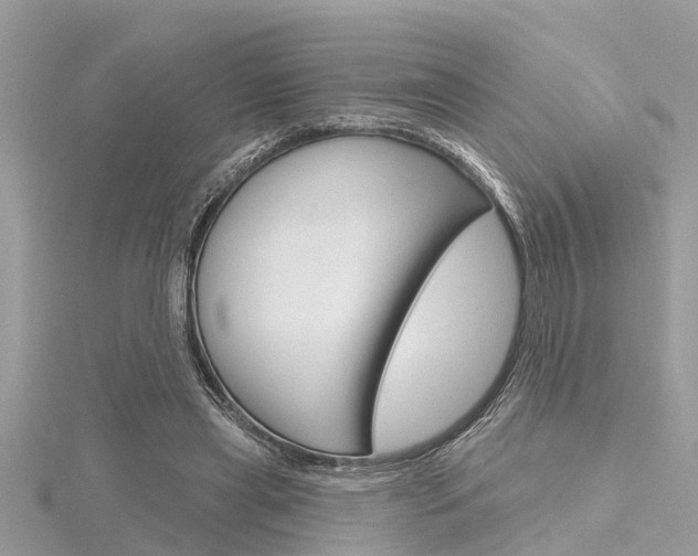 X0000116320445200912010947