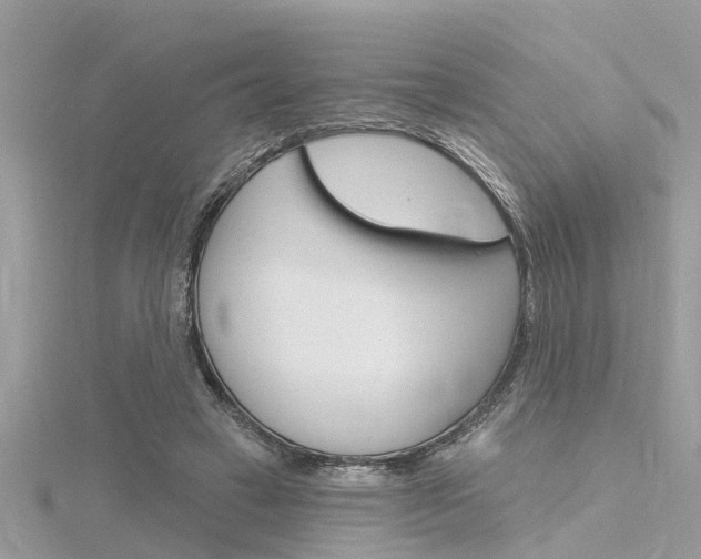 X0000116320449200912010947