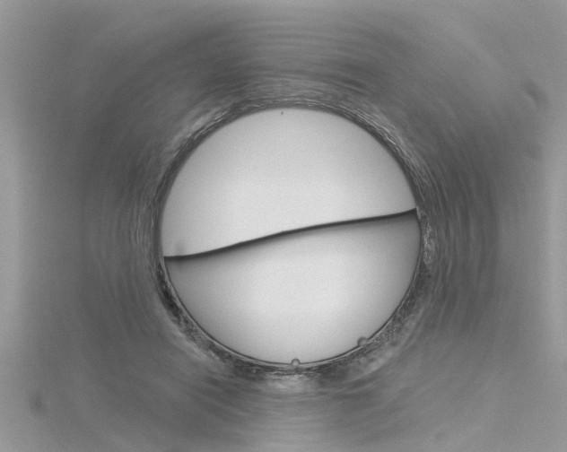 X0000116320454200912010947