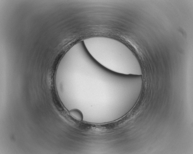 X0000116320455200912010947