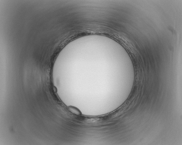 X0000116320461200912010947