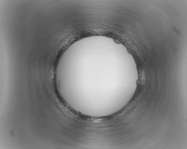 X0000116320472200912010948