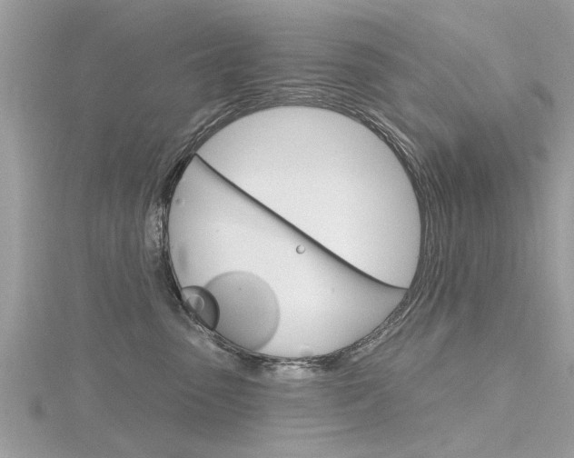 X0000116320475200912010948