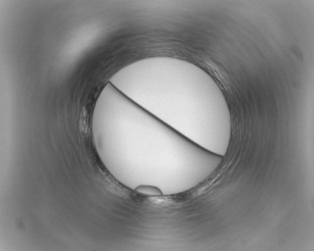 X0000116320477200912010948
