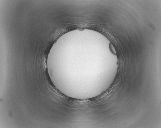 X0000116320479200912010948