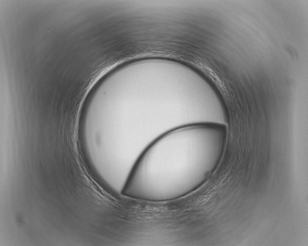 X0000116320484200912010947