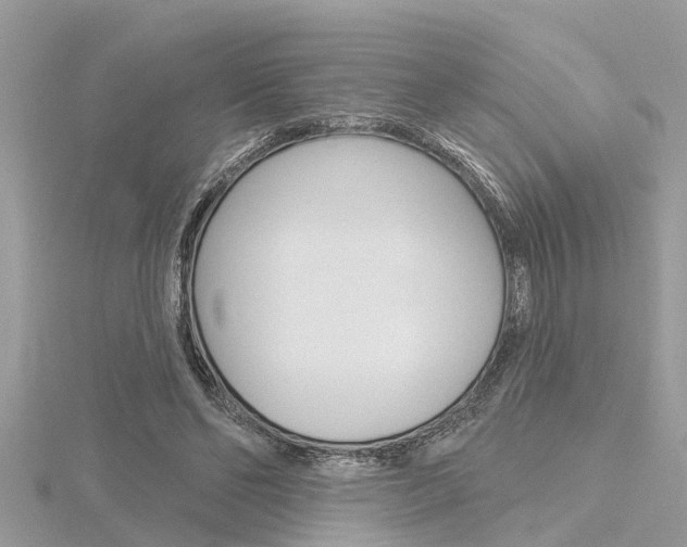 X0000116320494200912010947