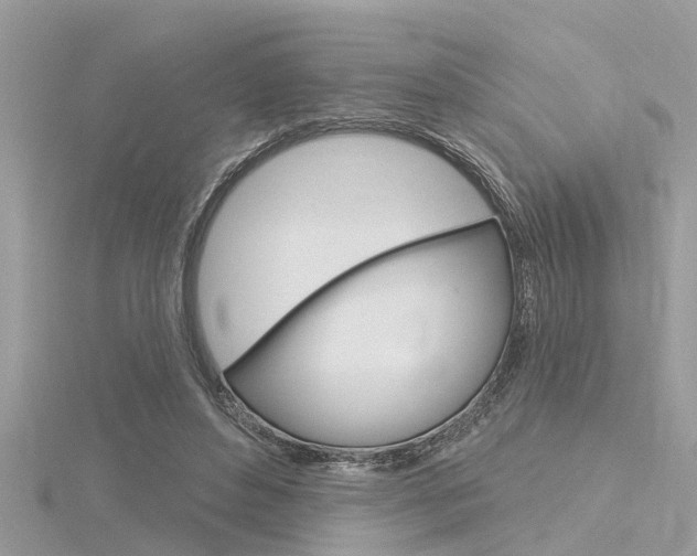 X0000116320496200912010947