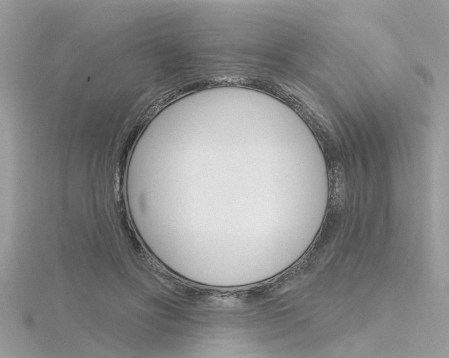X0000116320502200912010947