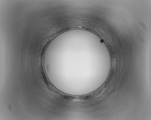 X0000116320504200912010947