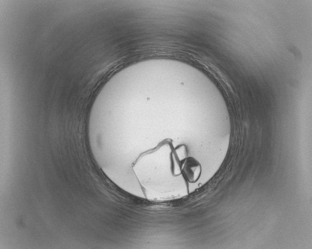 X0000116320505200912010947