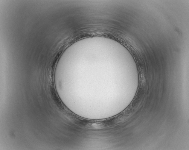 X0000116320506200912010947