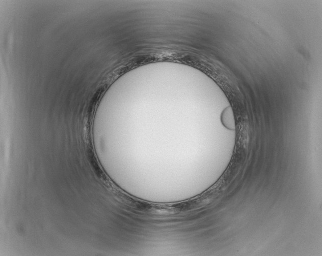 X0000116320510200912010947