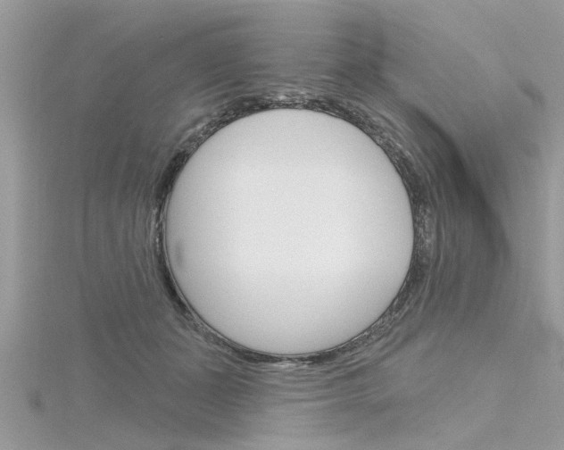 X0000116320511200912010947