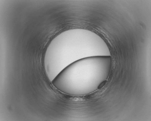 X0000116320512200912010947