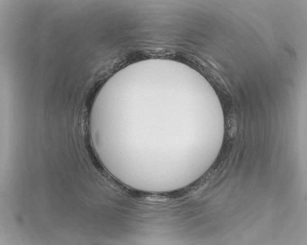 X0000116320515200912010946