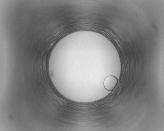 X0000116320520200912010946