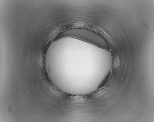 X0000116320524200912010946