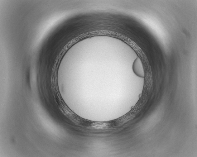 X0000116320526200912010946