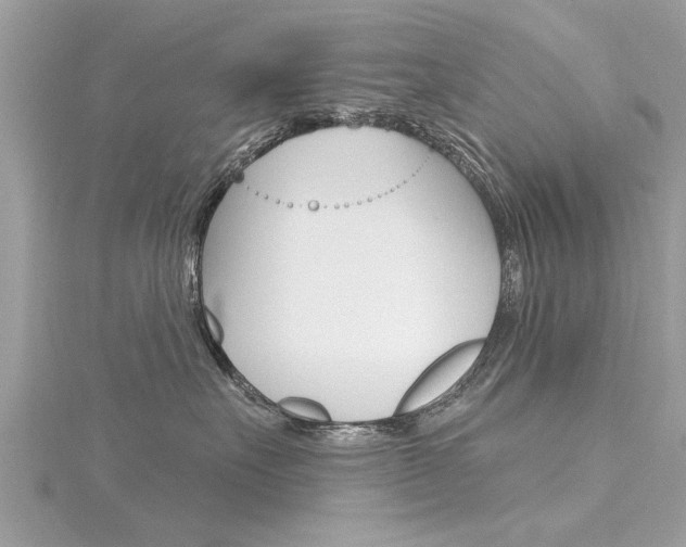 X0000116320527200912010946