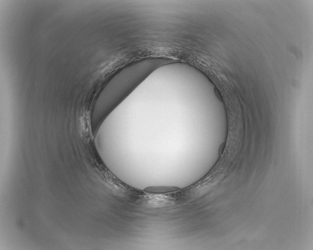 X0000116320528200912010946