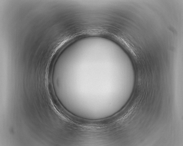 X0000116320530200912010946