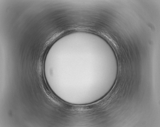 X0000116320533200912010946