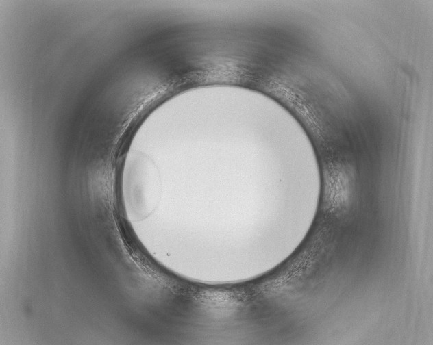 X0000116320534200912010946