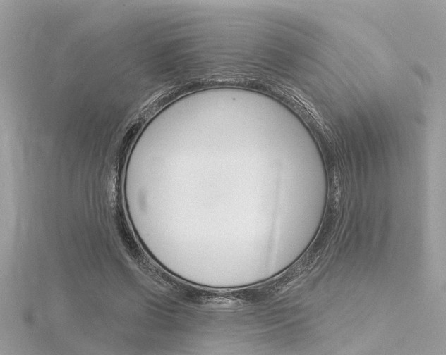 X0000116320542200912010946