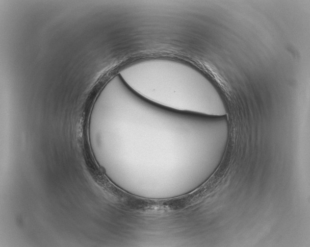 X0000116320543200912010946