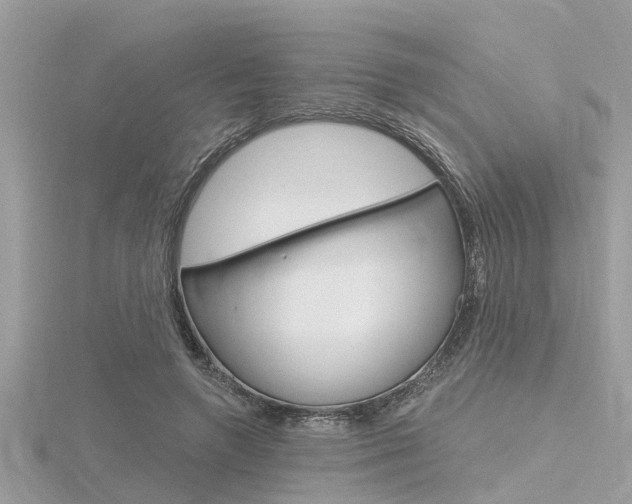 X0000116320546200912010946