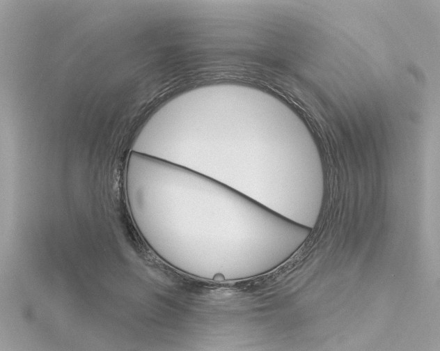 X0000116320551200912010946