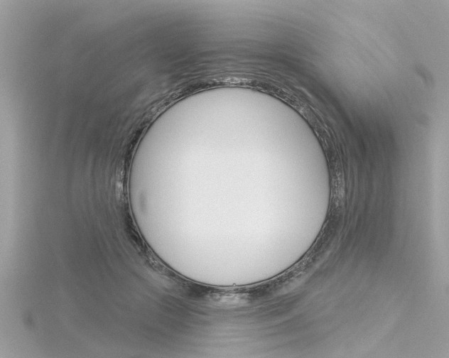 X0000116320553200912010946