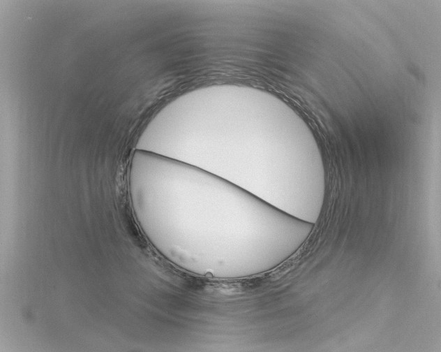 X0000116320559200912010946