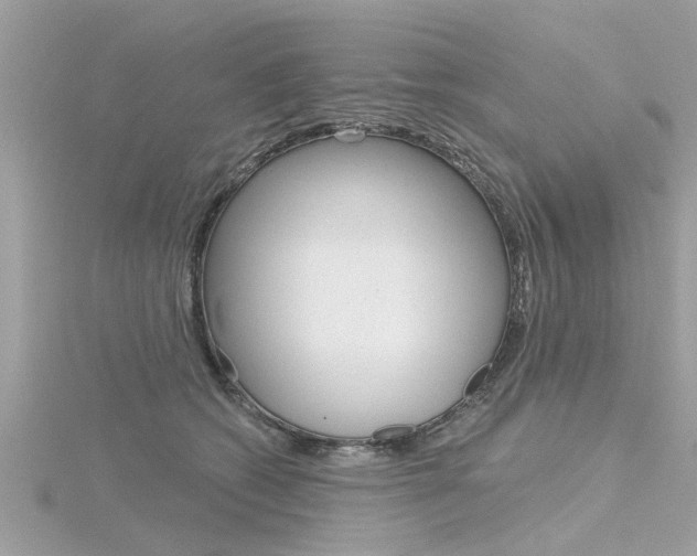 X0000116320562200912010946