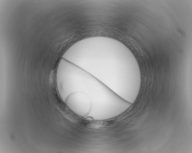 X0000116320563200912010946