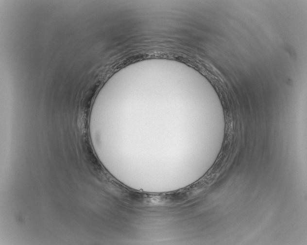 X0000116320565200912010946