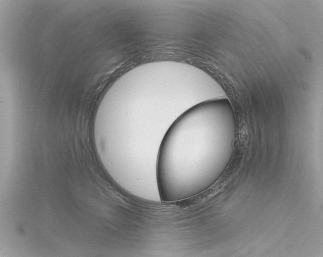 X0000116320566200912010946