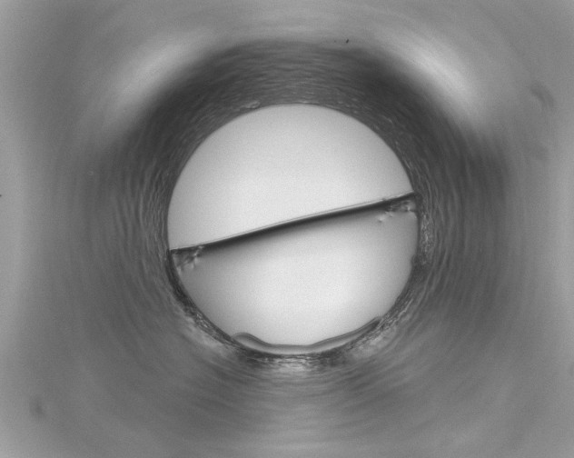 X0000116320574200912010946